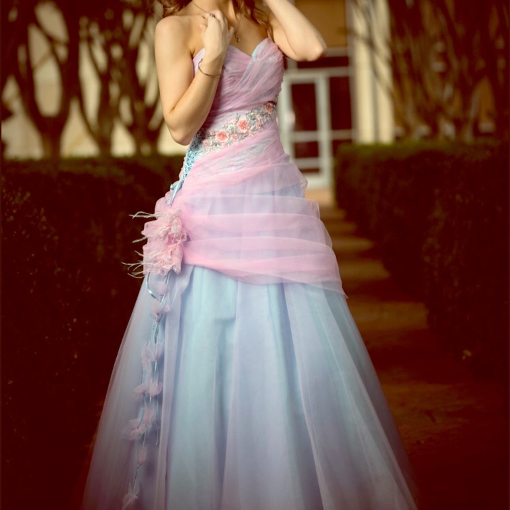 Alice Designs Ball Gown